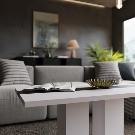 COFFEE TABLE BEN WHITE AND BLACK 110X60CM - Anna Furniture