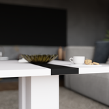 COFFEE TABLE BEN WHITE AND BLACK 110X60CM - Anna Furniture