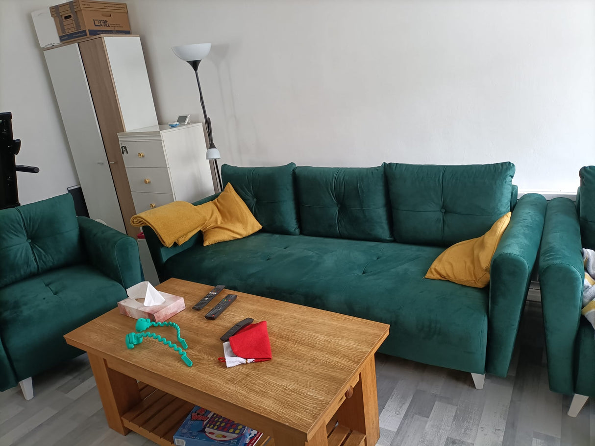 MONE 3+1+1 SOFA AND 2 ARMCHAIRS EASY CLEAN FABRIC / BONELL SPRINGS + FOAMSofa dimensions: sleeping area 135/191 cm width 221 cm depth 96 cm height to the seat 44 cm height of the legs 13 cmChair dimensions: width 90 cm seat width 60 cm height to the seat