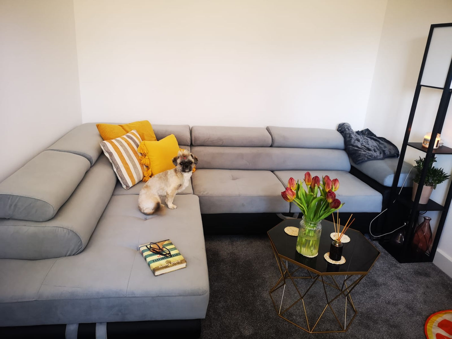 ASH II 273CM TRINITY 14 SOFT 11 / SPRINGS + FOAMWavy springs + foam Large sleeping areaMADE IN WATER RESISTANT TRINITY FABRIC CLICK HERE + FAUX LEATHER CLICK HERE Dimensions W: 273cm D:203cm H: 90cm Sleeping area: 195x123cmAnna Furniture